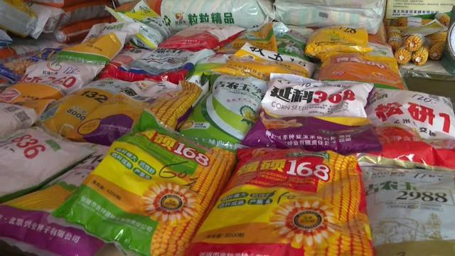 【中央一號(hào)文件·會(huì)寧見(jiàn)行動(dòng)】會(huì)寧:搶抓農(nóng)時(shí)忙春耕 全力保障糧食安全