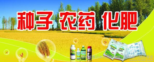 【種子批發(fā)】?jī)r(jià)格_廠(chǎng)家_圖片 -