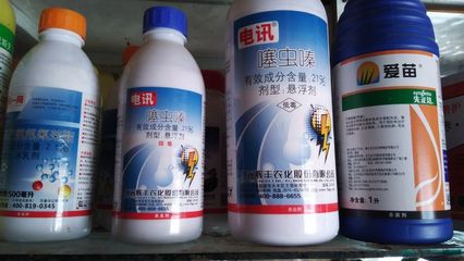 售大包裝農(nóng)藥,廠價直銷,質(zhì)量保證。價格優(yōu)惠。輝豐產(chǎn)品,進(jìn)口產(chǎn)品,質(zhì)量好,放心用。
